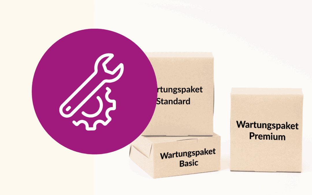 Website-Wartung: Welche Pakete gibt es – und was kosten sie?